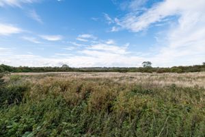 View- click for photo gallery